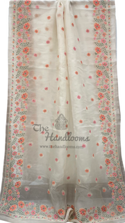 Pure Organza Chikankari Handloom Banarasi Saree - The Handlooms