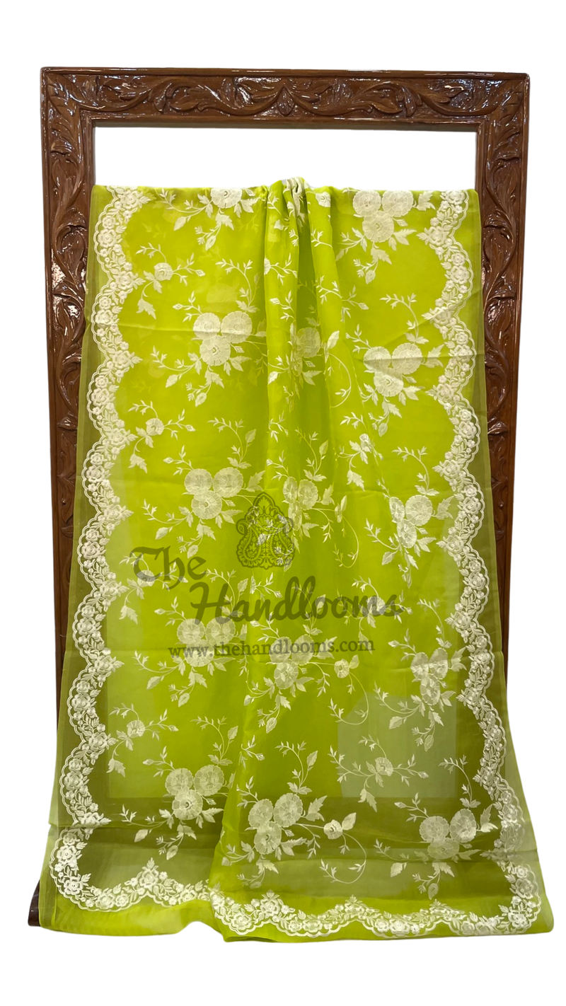Organza Chikankari Handloom Banarasi Saree - The Handlooms