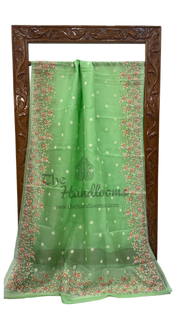 Pure Organza Chikankari Handloom Banarasi Saree - The Handlooms