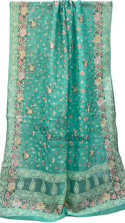 Pure Organza Chikankari Handloom Banarasi Saree - The Handlooms
