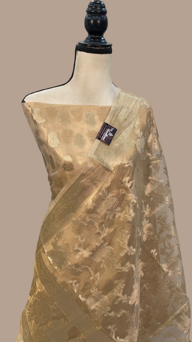 Pure Kora Tissue Handlooms Banarasi Dress material