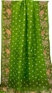Green Pure Organza Chikankari Handloom Banarasi Saree - The Handlooms