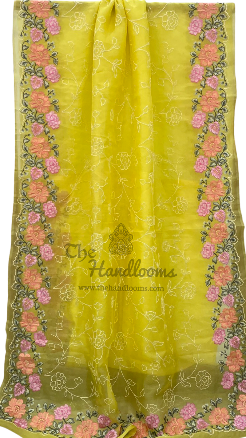 Pure Organza Chikankari Handloom Banarasi Saree - The Handlooms