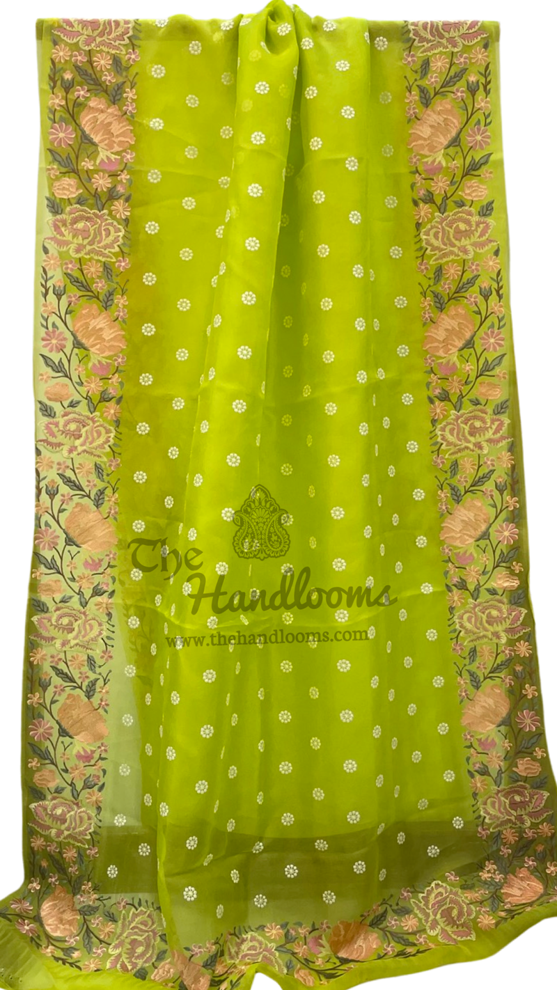 Pure Organza Chikankari Handloom Banarasi Saree - The Handlooms