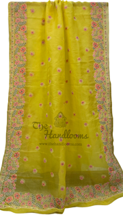 Pure Organza Chikankari Handloom Banarasi Saree - The Handlooms