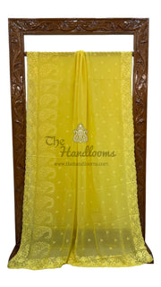 Pure Georgette Chikankari Handloom Banarasi Saree - The Handlooms