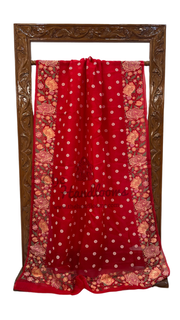 Pure Organza Chikankari Handloom Banarasi Saree - The Handlooms