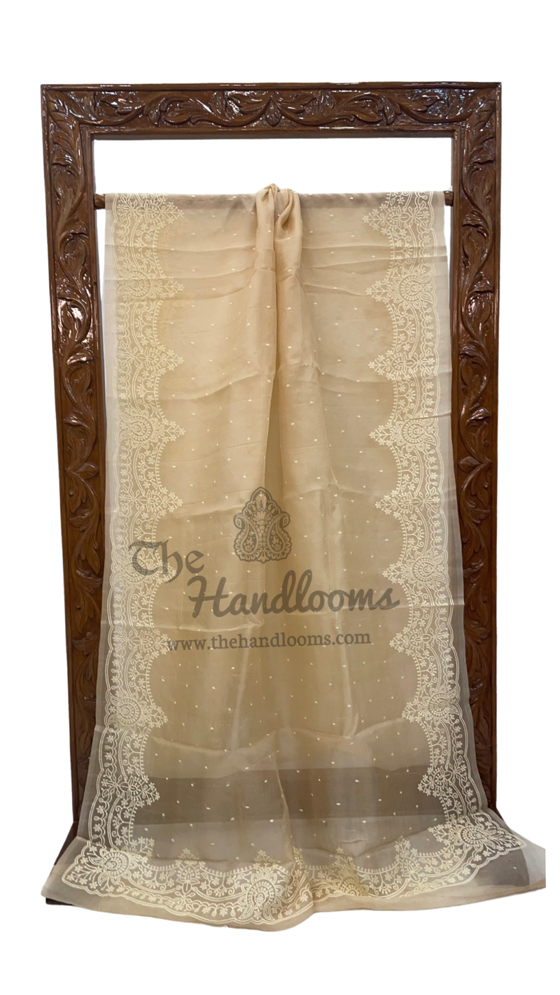 Pure Organza Chikankari Handloom Banarasi Saree - The Handlooms