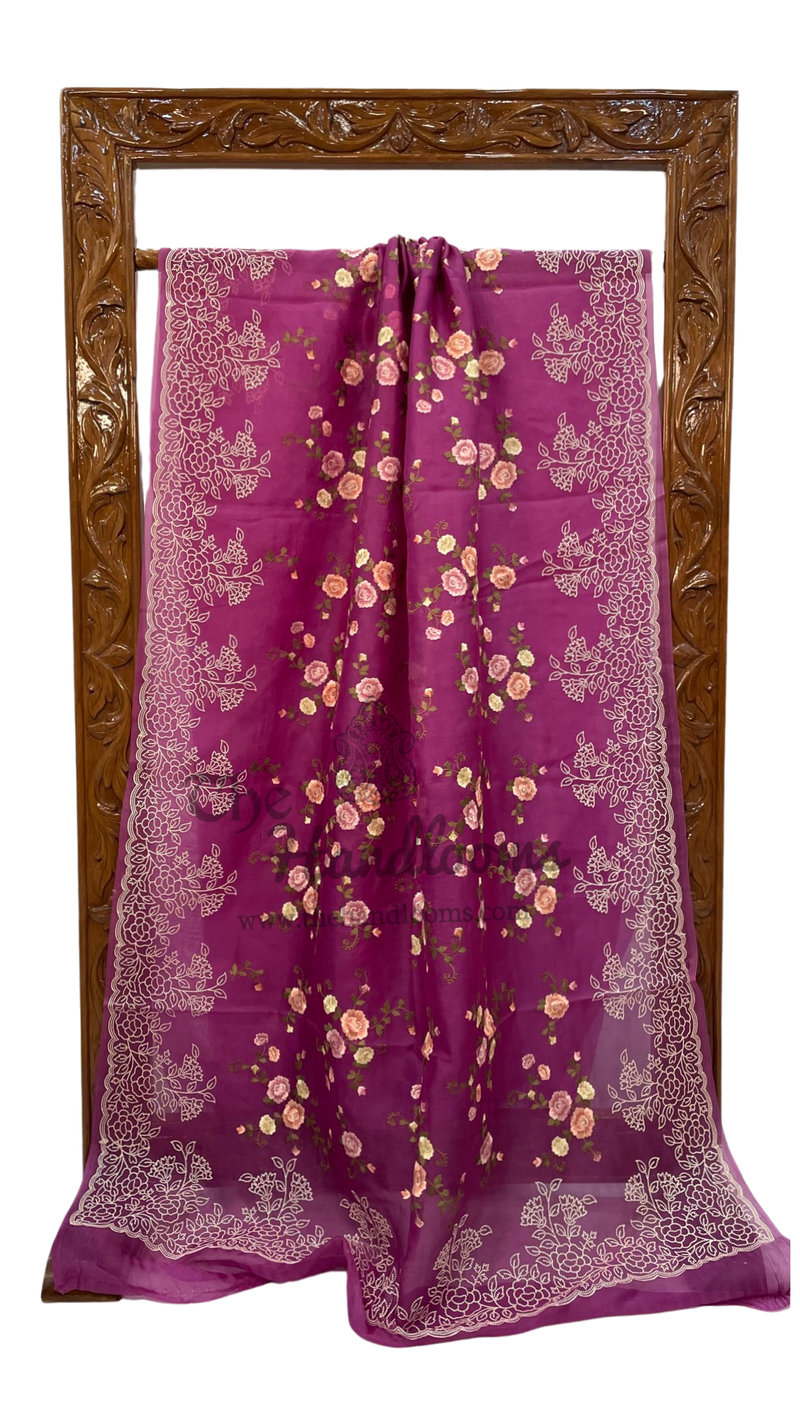 Pure Organza Chikankari Handloom Banarasi Saree - The Handlooms