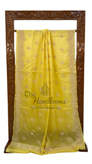 Tussar Silk Handloom Banarasi Saree With Chikankari - The Handlooms