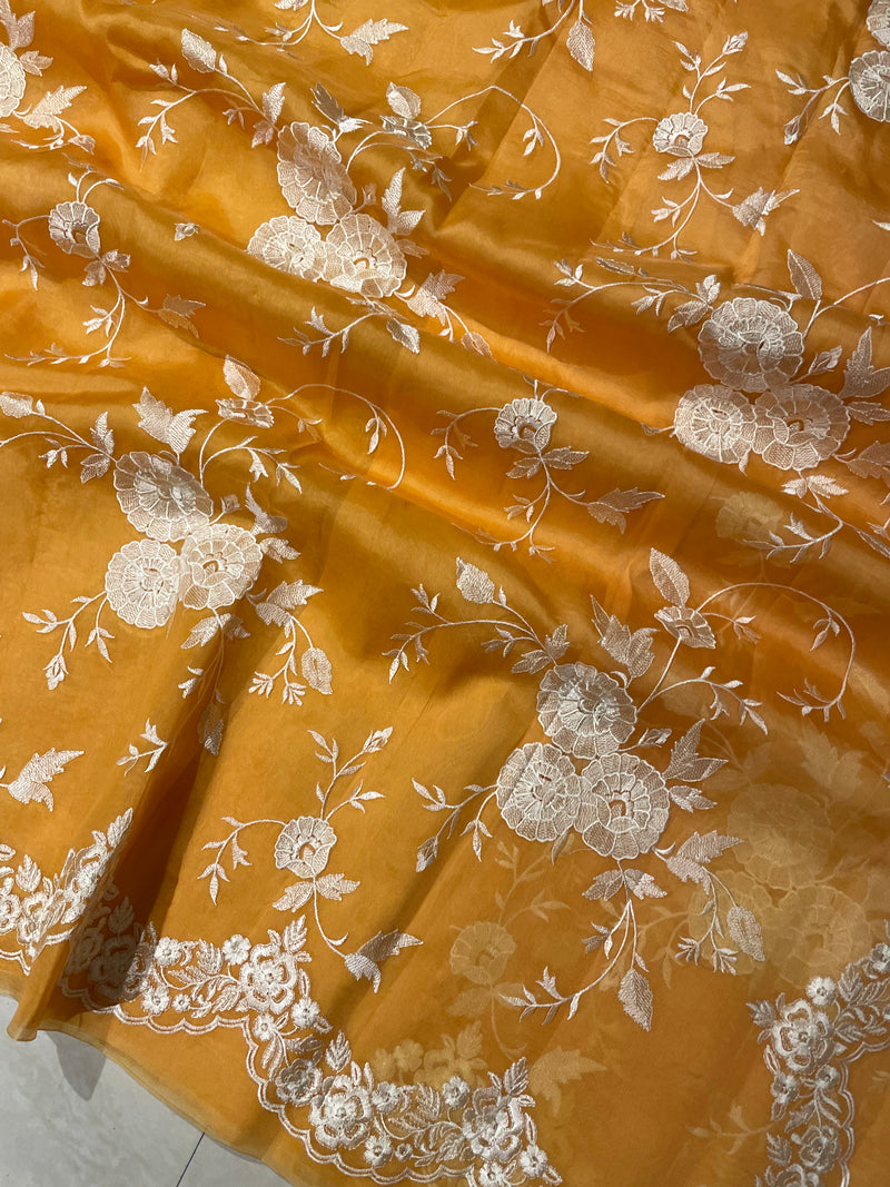 Pure Organza Chikankari Handloom Banarasi Saree - The Handlooms