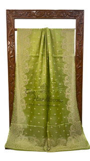 Tussar Silk Handloom Banarasi Saree With Chikankari - The Handlooms