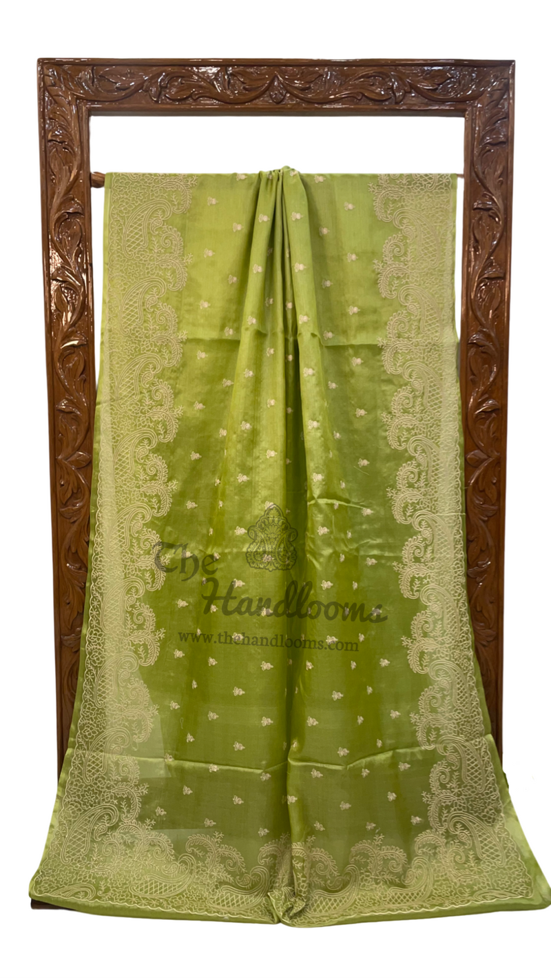 Tussar Silk Handloom Banarasi Saree With Chikankari - The Handlooms