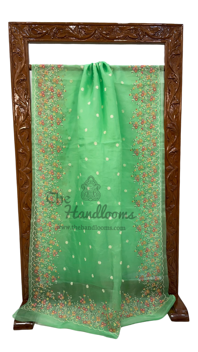 Pure Organza Chikankari Handloom Banarasi Saree - The Handlooms