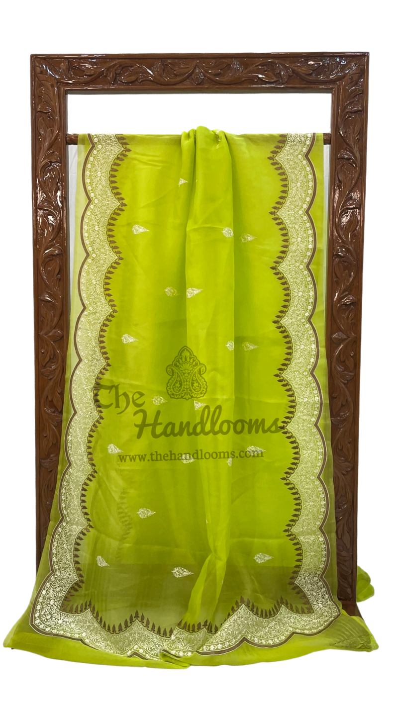 Pure Organza Chikankari Handloom Banarasi Saree - The Handlooms