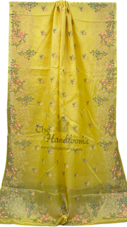 Tussar Silk Handloom Banarasi Saree With Chikankari - The Handlooms