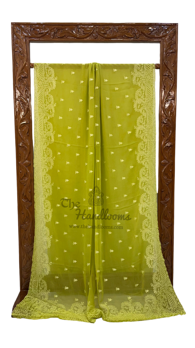 Pure Georgette Chikankari Handloom Banarasi Saree - The Handlooms