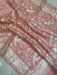 Pure Organza Chikankari Handloom Banarasi Saree - The Handlooms