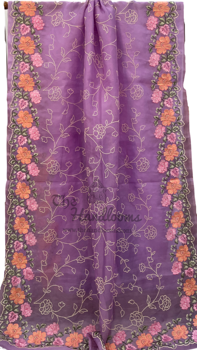 Pure Organza Chikankari Handloom Banarasi Saree - The Handlooms