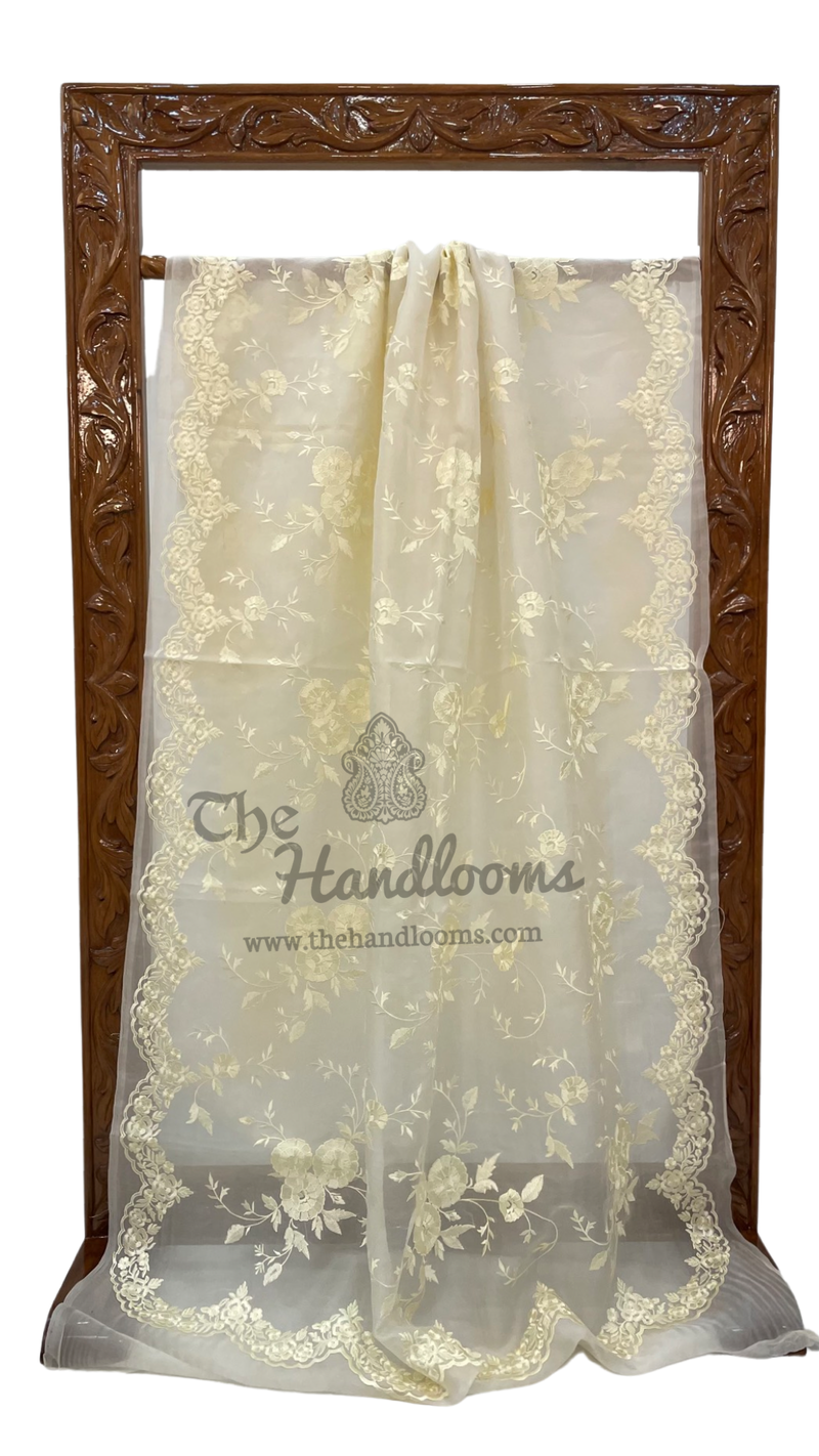 Organza Chikankari Handloom Banarasi Saree - The Handlooms