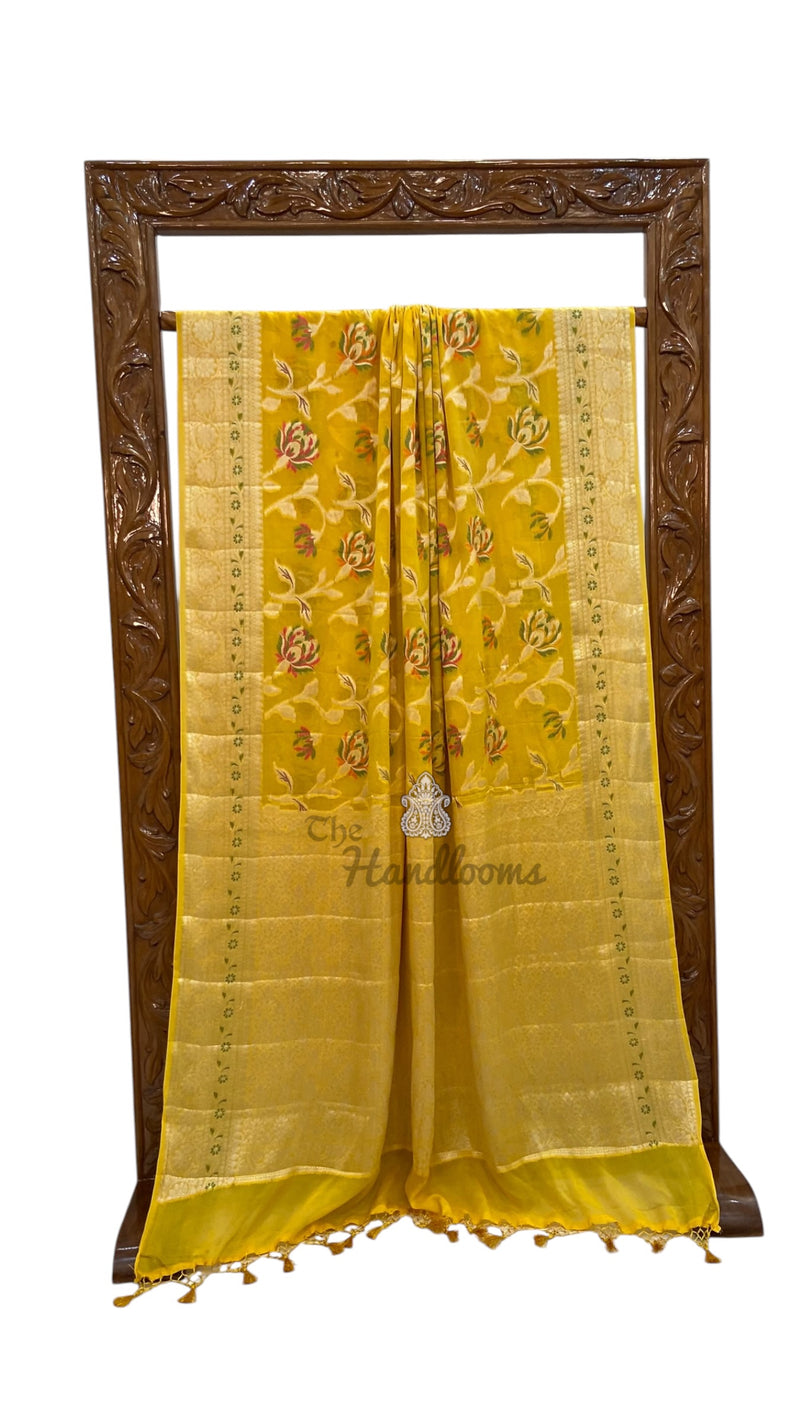 Pure Chiffon Khaddi Banarasi Saree
