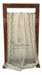 Pure Organza Chikankari Handloom Banarasi Saree - The Handlooms
