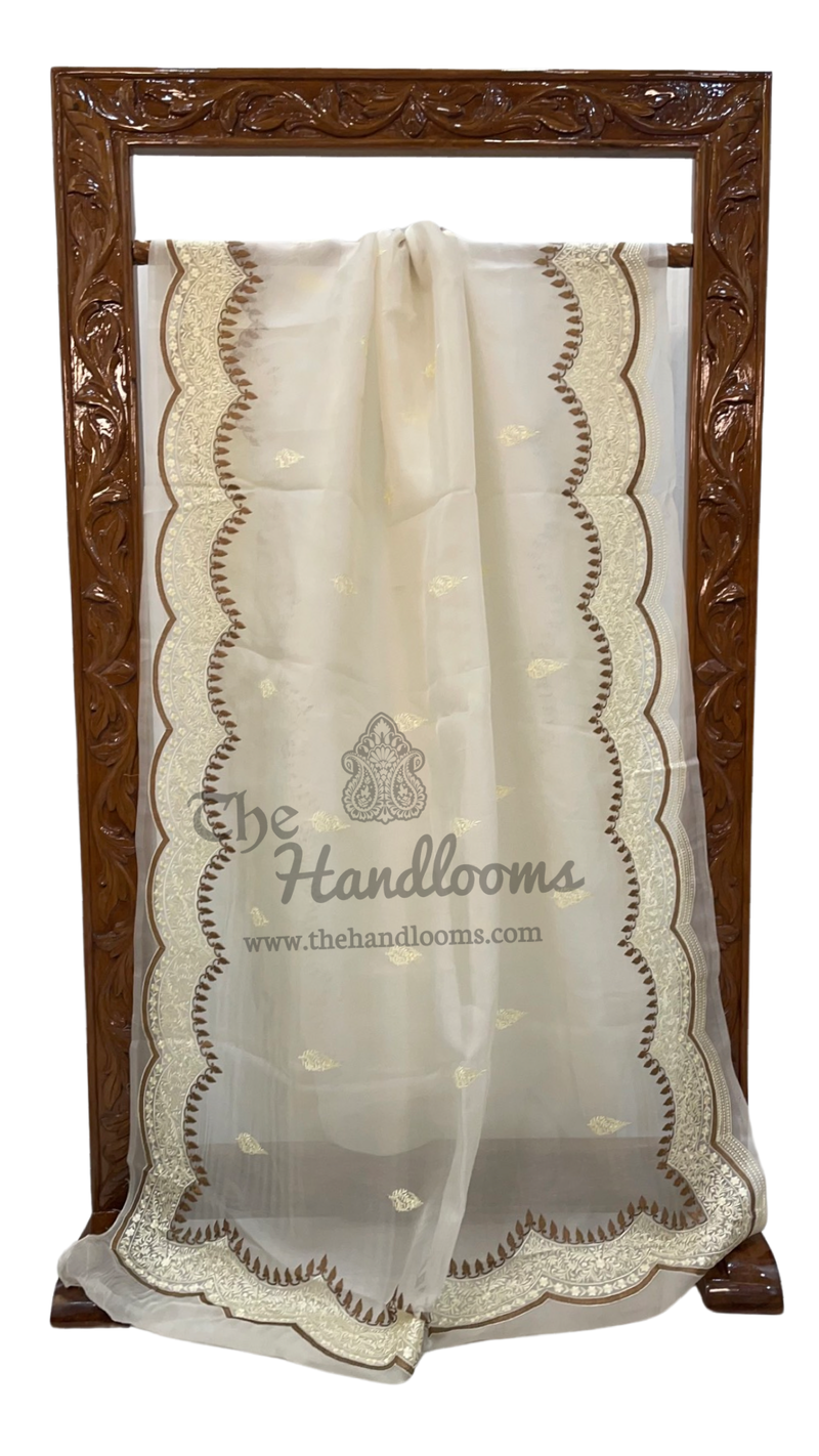Pure Organza Chikankari Handloom Banarasi Saree - The Handlooms