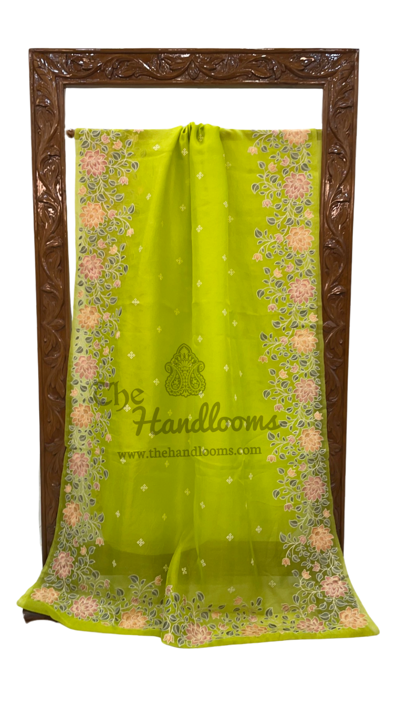 Pure Organza Chikankari Handloom Banarasi Saree - The Handlooms