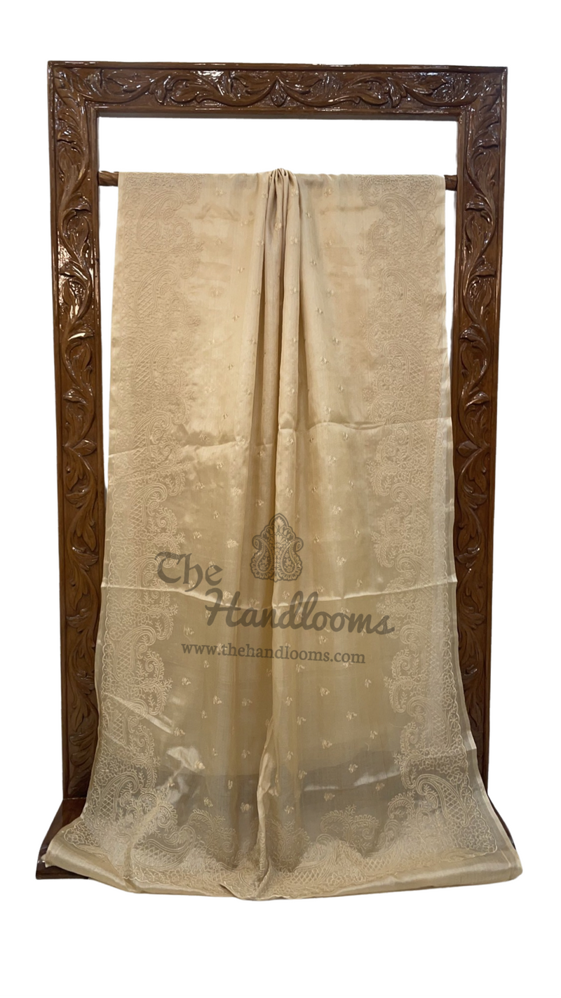 Tussar Silk Handloom Banarasi Saree With Chikankari - The Handlooms