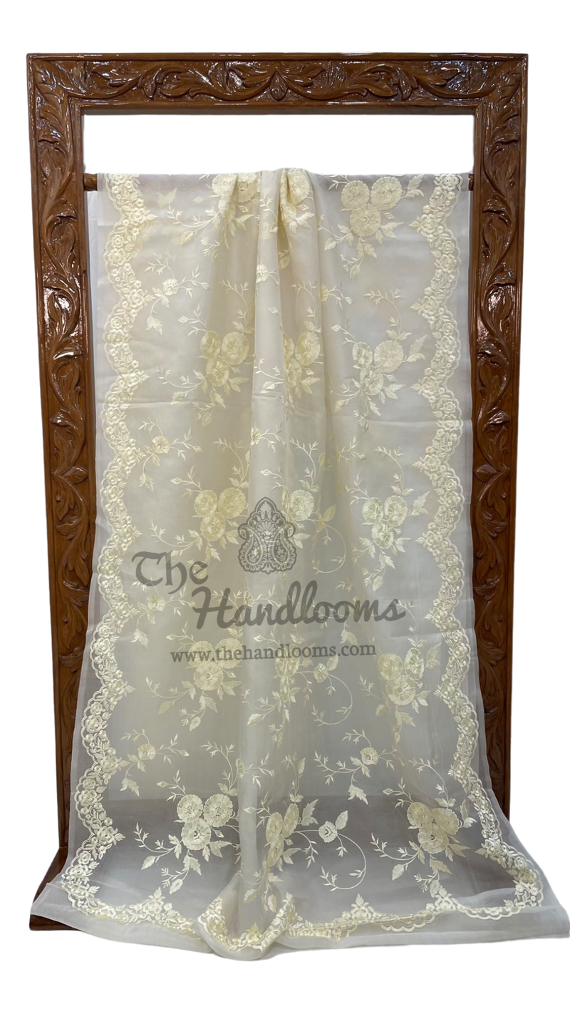 Off-white Pure Organza Chikankari Handloom Banarasi Saree - The Handlooms