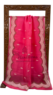 Pure Organza Chikankari Handloom Banarasi Saree - The Handlooms