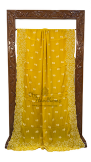 Pure Georgette Chikankari Handloom Banarasi Saree - The Handlooms