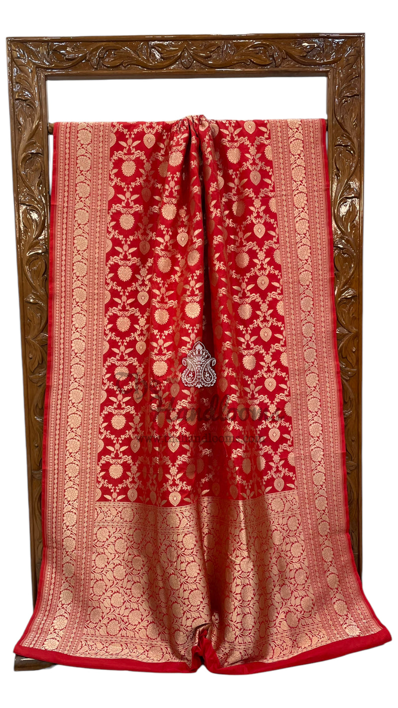 Pure Katan Silk Banarasi Handloom Saree - All over Jaal work - The Handlooms