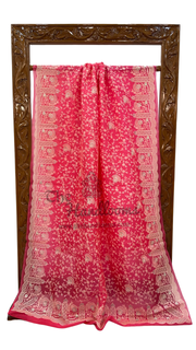 Organza Chikankari Handloom Banarasi Saree - The Handlooms