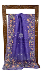 Pure Organza Chikankari Handloom Banarasi Saree - The Handlooms