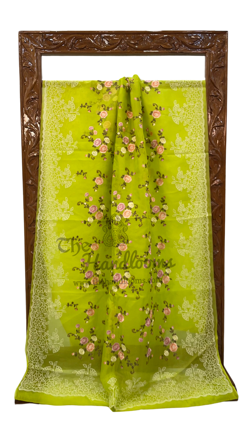 Organza Chikankari Handloom Banarasi Saree - The Handlooms