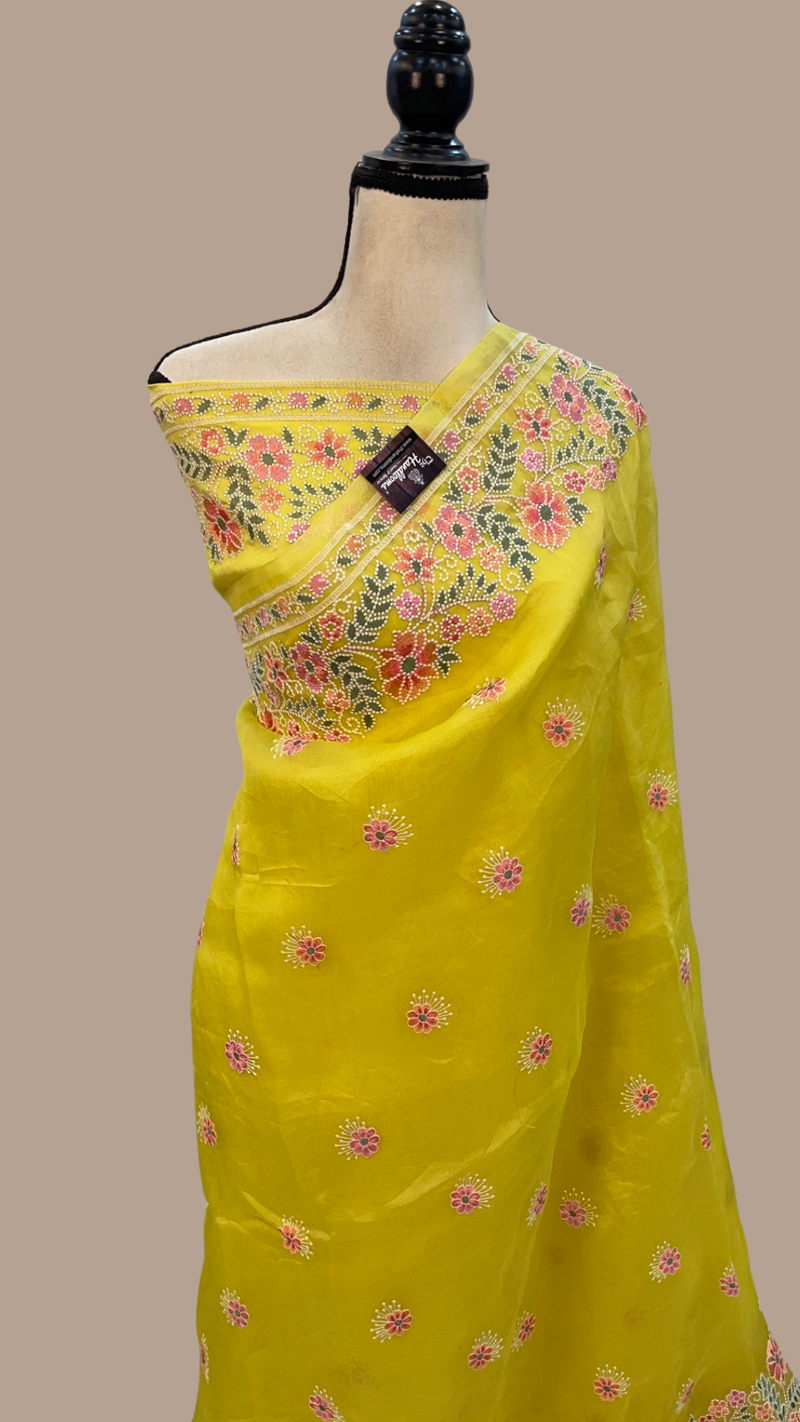 Pure Organza Chikankari Handloom Banarasi Saree - The Handlooms