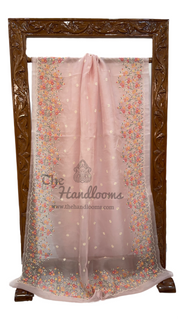 Pure Organza Chikankari Handloom Banarasi Saree - The Handlooms