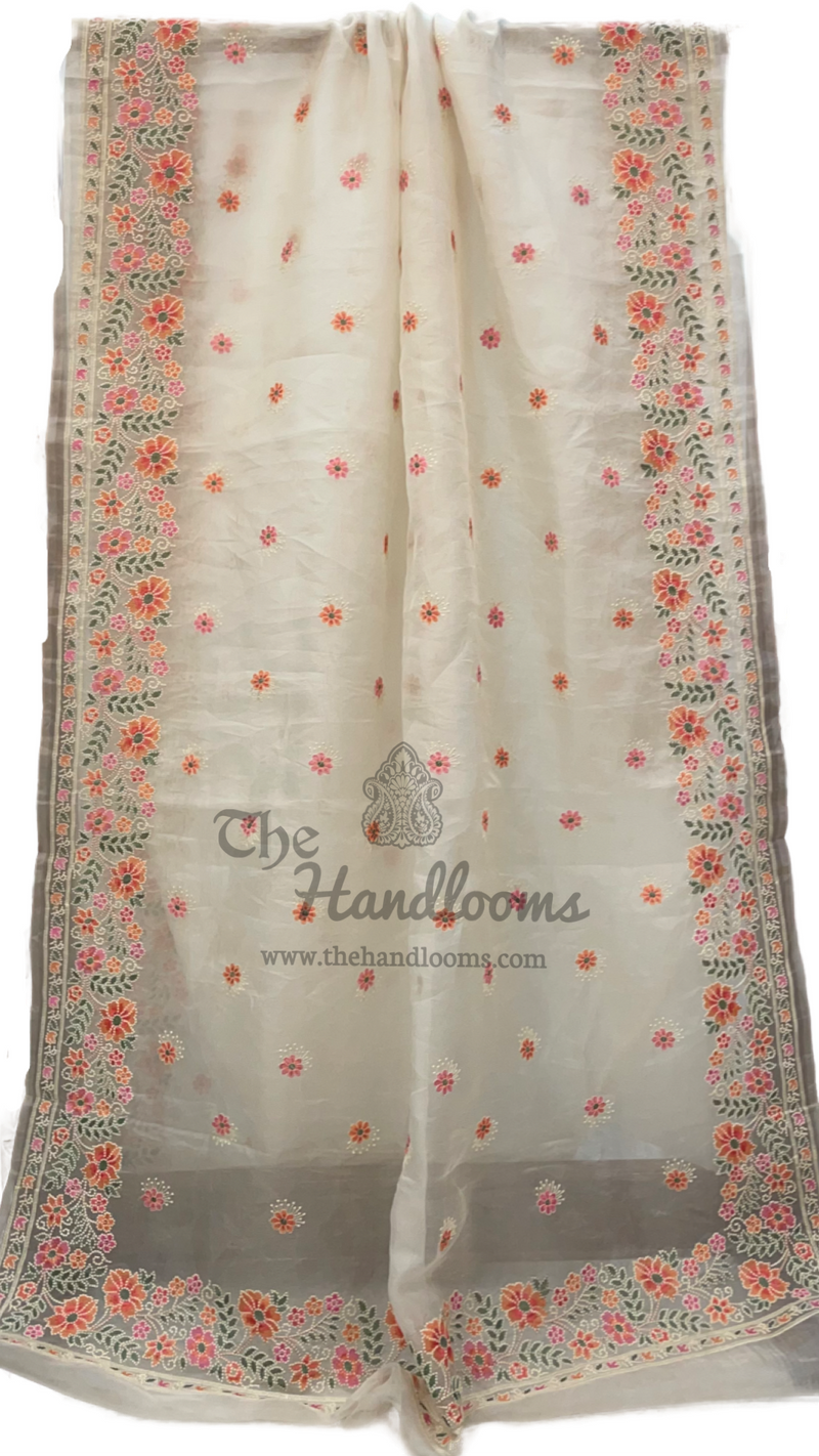 Pure Organza Chikankari Handloom Banarasi Saree - The Handlooms