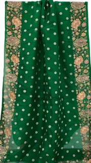 Pure Organza Chikankari Handloom Banarasi Saree - The Handlooms