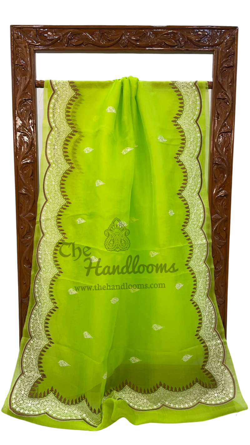 Pure Organza Chikankari Handloom Banarasi Saree - The Handlooms