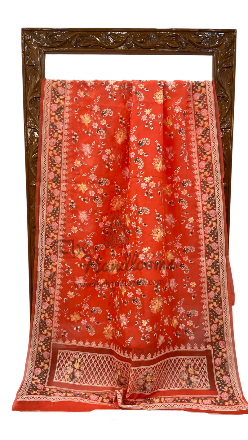 Organza Chikankari Handloom Banarasi Saree - The Handlooms