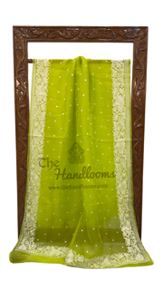 Pure Organza Chikankari Handloom Banarasi Saree - The Handlooms