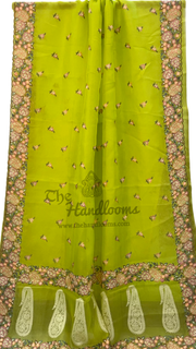 Pure Organza Chikankari Handloom Banarasi Saree - The Handlooms