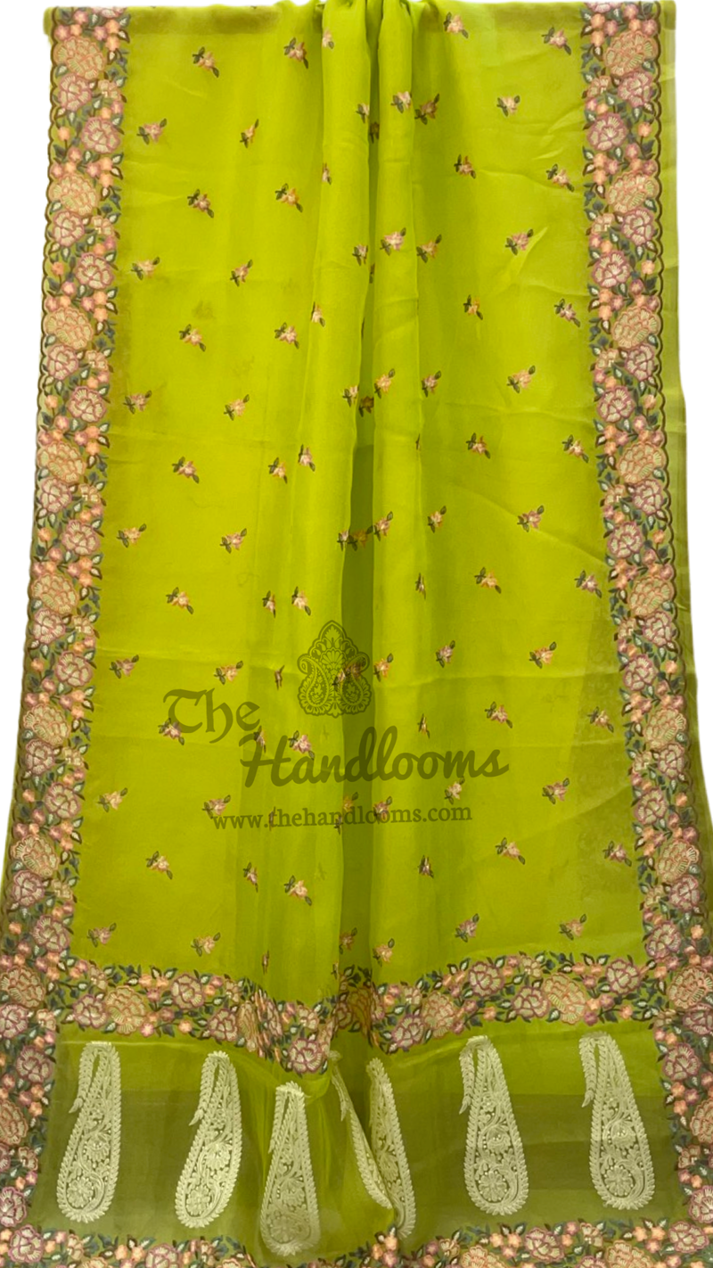 Pure Organza Chikankari Handloom Banarasi Saree - The Handlooms