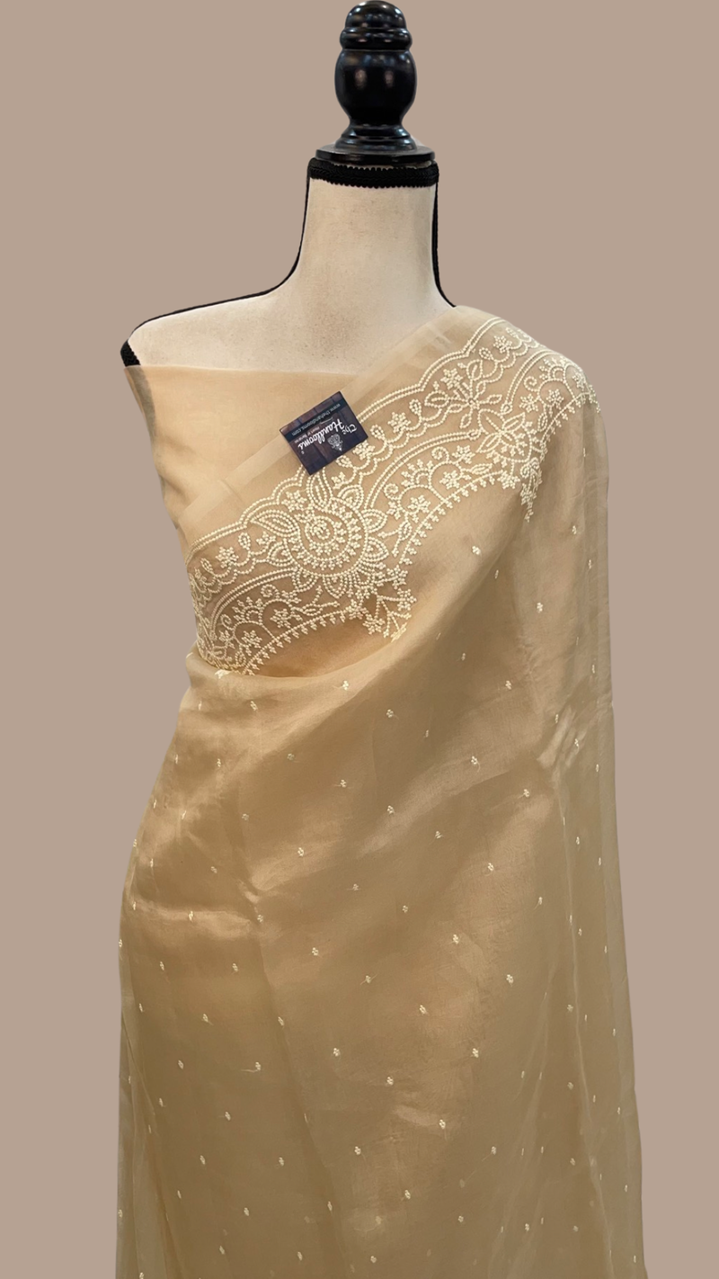 Pure Organza Chikankari Handloom Banarasi Saree - The Handlooms