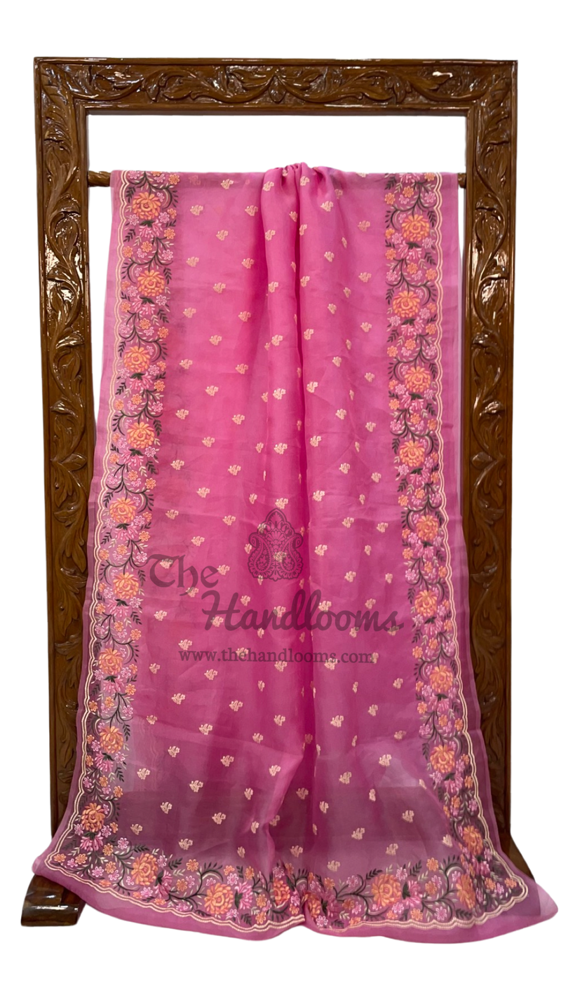 Pure Organza Chikankari Handloom Banarasi Saree - The Handlooms