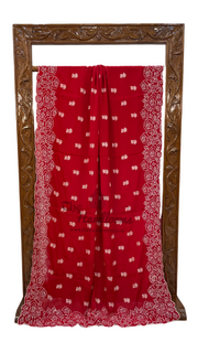 Pure Georgette Chikankari Handloom Banarasi Saree - The Handlooms