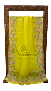 Pure Organza Chikankari Handloom Banarasi Saree - The Handlooms