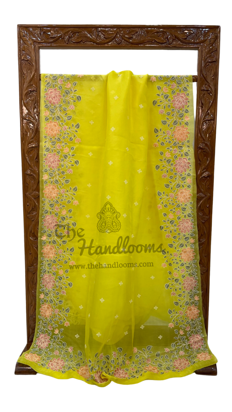 Pure Organza Chikankari Handloom Banarasi Saree - The Handlooms